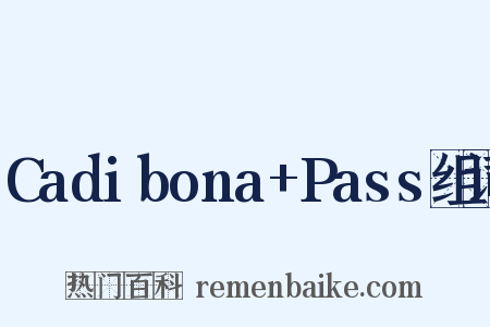 Cadibona+Pass组词是什么意思的图片